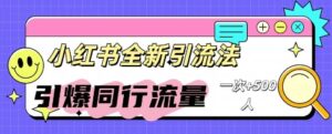 小红书群聊引流:同行流量引爆计划-中创网_分享创业项目_助您在家赚钱