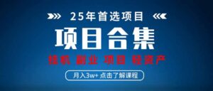 （14175期）2025 实操项目合集 挂机类型 直播类型 轻资产创业类型 课程分享各项目...-中创网_分享创业项目_助您在家赚钱