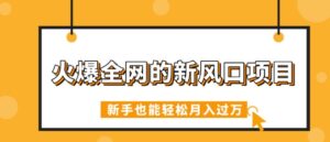 火爆全网的新风口新项目,依靠人工智能技术AI看命,免费预测运势,初学者都可以轻松月入了W-中创网_专注互联网创业,项目资源整合-中创网_分享创业项目_助您在家赚钱