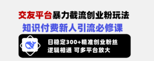 (14432期)交友网站暴力行为截留自主创业粉游戏玩法,社交电商新手引流方法必修课程,日平稳300 精确...-中创网_分享创业项目_助您在家赚钱