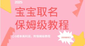 2025新风口项目宝宝取名，0成本高利润，附保姆级教程-中创网_专注互联网创业,项目资源整合-中创网_分享创业项目_助您在家赚钱
