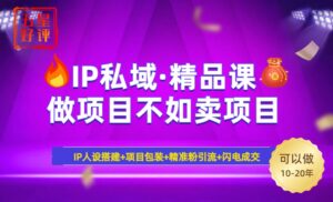 （14406期）2025年“IP公域·密训班精品课程”，日赚3000 新手防坑月入十万，暴力行为引流方法...-中创网_分享创业项目_助您在家赚钱