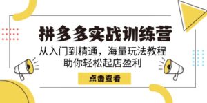 (14392期)拼多多实战训练营,从入门到精通,海量玩法教程,助你轻松起店盈利-中创网_分享创业项目_助您在家赚钱