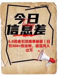 5.0闲鱼引流打造爆款秘笈,日引300 自主创业粉,平稳月入了W-中创网_分享创业项目_助您在家赚钱
