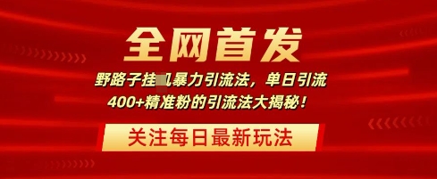 全网首发,野路子暴力引流法,单日引流400 精准粉的引流法大揭秘