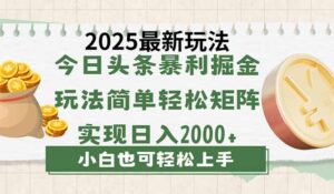 （14120期）今日今日头条2025全新游戏玩法，构思简易，拷贝，真正实现引流矩阵日入2000-中创网_专注互联网创业,项目资源整合-中创网_分享创业项目_助您在家赚钱