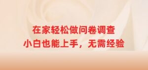 在家里轻轻松松做问卷调查,新手也可以入门,无需经验-中创网_分享创业项目_助您在家赚钱