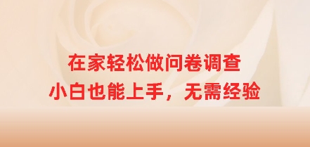 在家里轻轻松松做问卷调查，新手也可以入门，无需经验-中创网_分享创业项目_助您在家赚钱