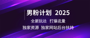 粉丝方案2025 全新玩法打穿总流量 独立网站 单独网络资源后台管理帮扶-中创网_分享创业项目_助您在家赚钱