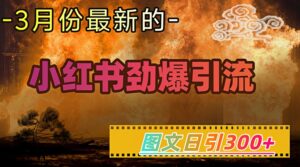 小红书的超劲爆引流方法方式,图文并茂日引300 轻轻松松转现1W-中创网_分享创业项目_助您在家赚钱