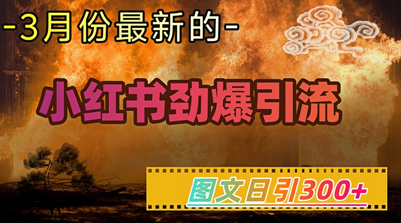 小红书的超劲爆引流方法方式，图文并茂日引300 轻轻松松转现1W-中创网_分享创业项目_助您在家赚钱
