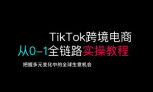 TikTok跨境电子商务从0-1全链路营销多方位实际操作实例教程,掌握多元化发展中全球买卖机遇-中创网_专注互联网创业,项目资源整合-中创网_分享创业项目_助您在家赚钱