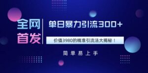 独家首发,使用价值3980单日暴力行为引流方法300 的精准引流方法法大曝光-中创网_分享创业项目_助您在家赚钱