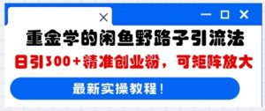 重金学的闲鱼野路子引流法,日引300+精准创业粉,可矩阵放大-中创网_分享创业项目_助您在家赚钱
