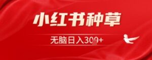小红书种草，一台手机就可以，没脑子日入3张-中创网_专注互联网创业,项目资源整合-中创网_分享创业项目_助您在家赚钱