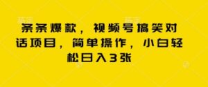 条条爆款，视频号搞笑对话项目，简单操作，小白轻松日入3张-中创网_分享创业项目_助您在家赚钱