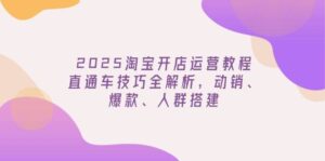 2025淘宝开网店运营教程升级,淘宝直通车方法全面解析,促销、爆品、群体构建-中创网_分享创业项目_助您在家赚钱