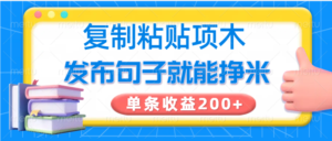 拷贝小程序,公布语句可以赚米,一条盈利200-中创网_分享创业项目_助您在家赚钱