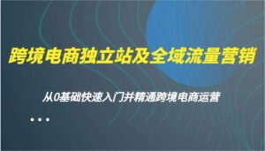 跨境电商电商独立站及全域流量营销推广,从0根本快速上手并熟练跨境电商运营-中创网_分享创业项目_助您在家赚钱