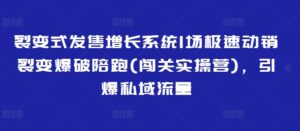 裂变开售提高系统软件1场急速促销裂变式工程爆破陪跑(冲关实际操作营),点爆私域流量池-中创网_分享创业项目_助您在家赚钱