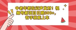 中老年人都是在闷声发财,微信视频号最新项目日入好几张,两双手就可进入车内-中创网_专注互联网创业,项目资源整合-中创网_分享创业项目_助您在家赚钱