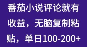 番茄小说评价就会有盈利,没脑子拷贝,单日100-200-中创网_专注互联网创业,项目资源整合-中创网_分享创业项目_助您在家赚钱