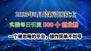 2025年3月全新引流技术,实际操作每日引流方法500 自主创业粉,一个被忽视服务平台,使用方便防封号-中创网_专注互联网创业,项目资源整合-中创网_分享创业项目_助您在家赚钱