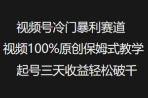 微信视频号小众爆利跑道短视频100%原创设计跟踪服务课堂教学养号三天盈利轻轻松松破千-中创网_分享创业项目_助您在家赚钱