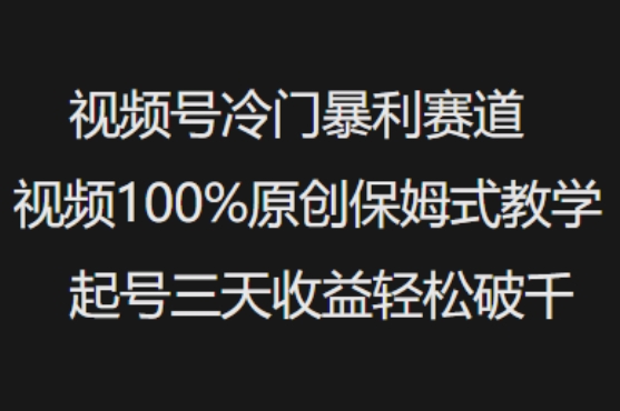 微信视频号小众爆利跑道短视频100%原创设计跟踪服务课堂教学养号三天盈利轻轻松松破千-中创网_分享创业项目_助您在家赚钱
