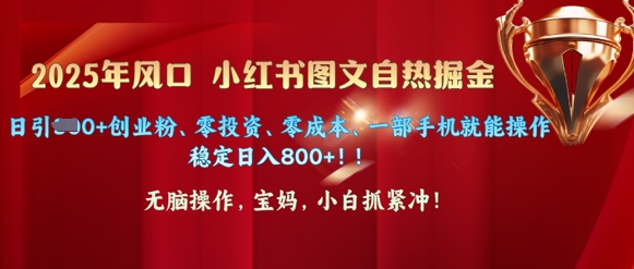 25年出风口小红书的图文并茂掘金队，日引300 自主创业粉、零投资、零成本、一部手机就能实际操作-中创网_分享创业项目_助您在家赚钱