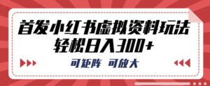 首发小红书虚拟资料玩法,可矩阵,可放大,轻松日入3张-中创网_分享创业项目_助您在家赚钱