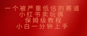 一个被严重低估的赛道,小红书的卖公仔,家庭保姆级实例教程,小白一min入门-中创网_分享创业项目_助您在家赚钱