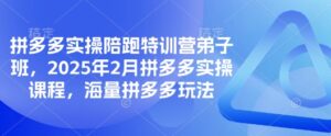 拼多多平台实际操作陪跑夏令营弟子班,2025年2月拼多多平台实操课程,大量拼多多平台游戏玩法-中创网_分享创业项目_助您在家赚钱