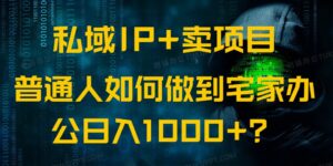 (14400期)公域IP 卖项目,平常人怎样做到蹲在家里办公室完成日入1000-中创网_分享创业项目_助您在家赚钱