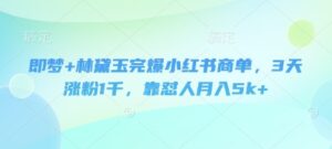 即梦+林黛玉完爆小红书商单,3天涨粉1千,靠怼人月入5k+-中创网_分享创业项目_助您在家赚钱