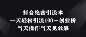 抖音绝密引流术,一天轻松引流100+创业粉,当天操作当天见效果-中创网_分享创业项目_助您在家赚钱