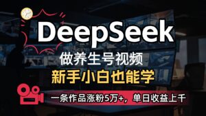 DeepSeek+既梦Ai生成养生视频,5分钟一条,条条爆款,轻松日入300+-中创网_分享创业项目_助您在家赚钱
