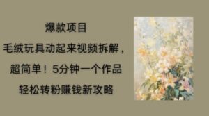 毛绒玩具动起来项目拆解,三四分钟一个作品,轻松转粉挣钱新玩法-中创网_分享创业项目_助您在家赚钱