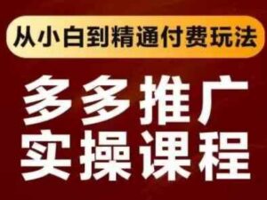 拼多多推广实操课程,从小白到精通付费玩法-中创网_分享创业项目_助您在家赚钱