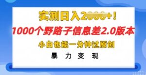 2025抖音1000个野路子信息差最新玩法,一分钟过原创,暴力变现月入几k-中创网_分享创业项目_助您在家赚钱