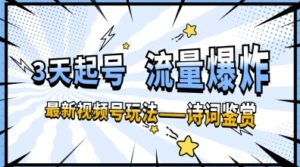 一天收入几张，视频号最新赛道—诗词鉴赏，3天必起，流量爆炸，新人也能轻松上手-中创网_分享创业项目_助您在家赚钱