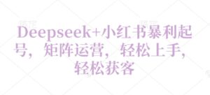 Deepseek+小红书暴利起号,矩阵运营,轻松上手,轻松获客-中创网_分享创业项目_助您在家赚钱