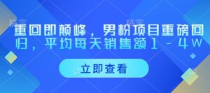 重回即颠峰,男粉项目重磅回归,平均每天销售额1-4W-中创网_分享创业项目_助您在家赚钱