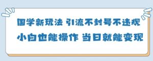 国学新玩法，引流不封号不违规小白也能操作，当日就能变现-中创网_分享创业项目_助您在家赚钱