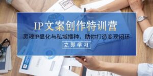 IP文案创作特训营，灵魂IP显化与私域播种，助你打造变现闭环（14节课）-中创网_分享创业项目_助您在家赚钱
