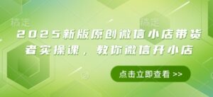 2025新版原创微信小店带货者实操课,教你微信开小店-中创网_分享创业项目_助您在家赚钱