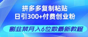 (14232期)拼多多复制粘贴日引300+付费创业粉,割韭菜月入6位数最新教程!-中创网_分享创业项目_助您在家赚钱