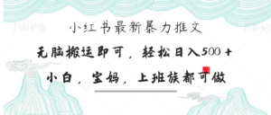 （14251期）小红书暴力推文，小白宝妈均可做，日入300＋-中创网_分享创业项目_助您在家赚钱