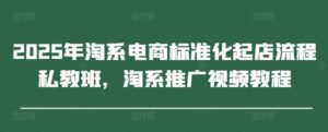 2025年淘系电商标准化起店流程私教班,淘系推广视频教程-中创网_分享创业项目_助您在家赚钱