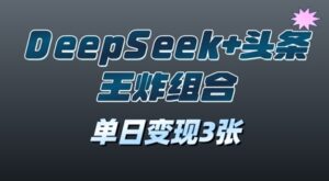 2025年DeepSeek+头条王炸组合,单日变现3张-中创网_分享创业项目_助您在家赚钱